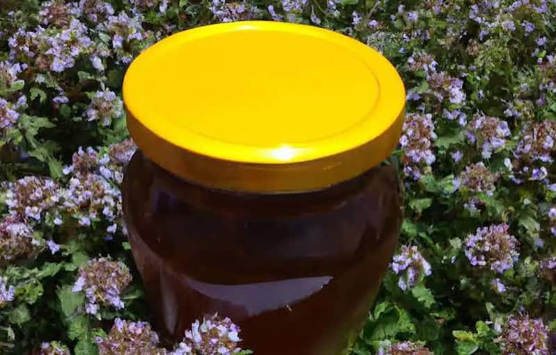 تصویر 4 از عسل آویشن کوهی خالص و طبیعی